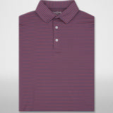 Ace High Polo