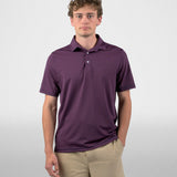 Ace High Polo