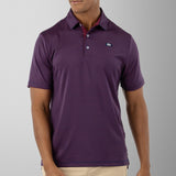 Ace High Polo