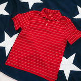 Striped It Polo