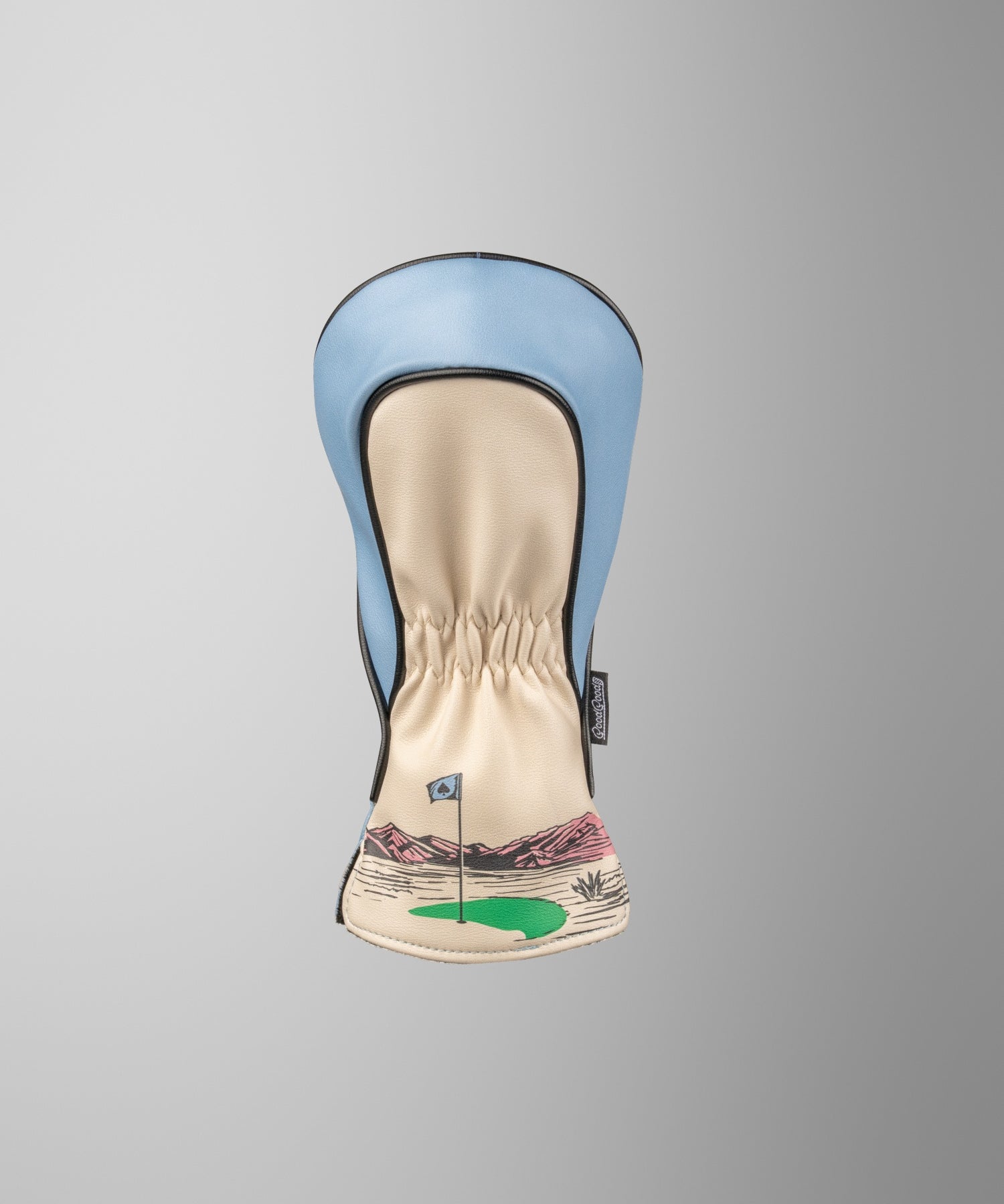 Slide image