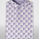 Dynamic Polo
